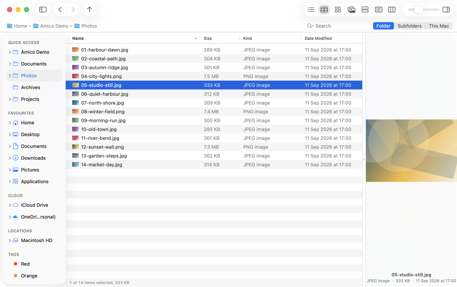 Amico File Manager showing Details view with a preview pane